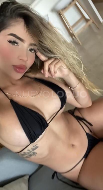 NuevoLoquo4