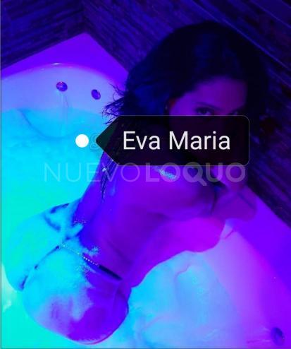 NuevoLoquo3