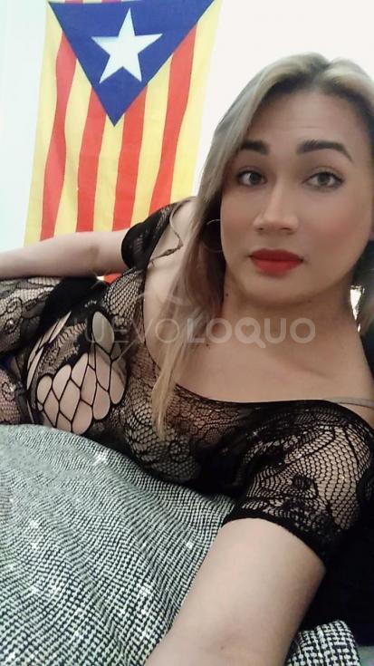 NuevoLoquo3