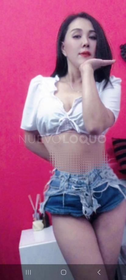 NuevoLoquo5