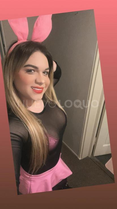 NuevoLoquo0
