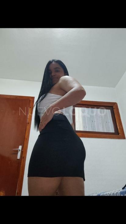 NuevoLoquo3