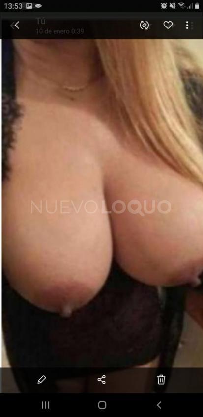 NuevoLoquo2