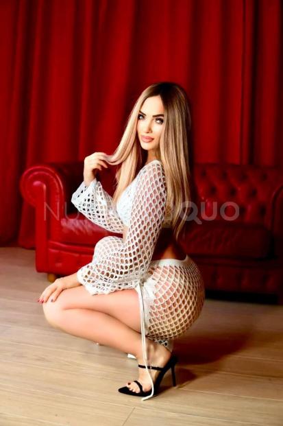 NuevoLoquo3