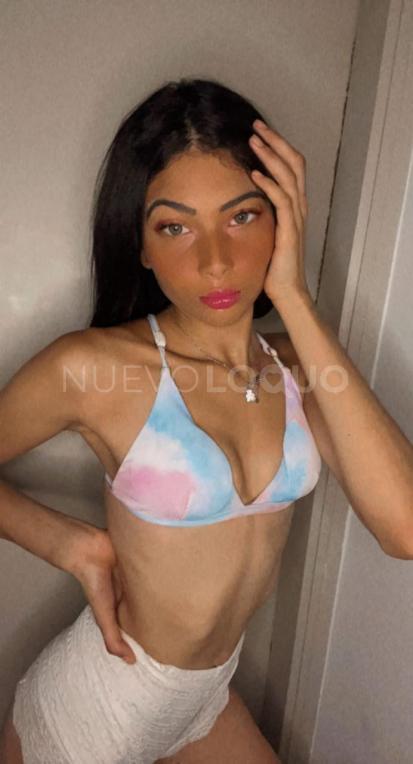 NuevoLoquo2