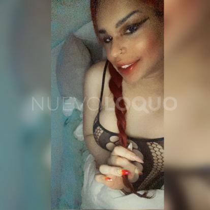 NuevoLoquo4