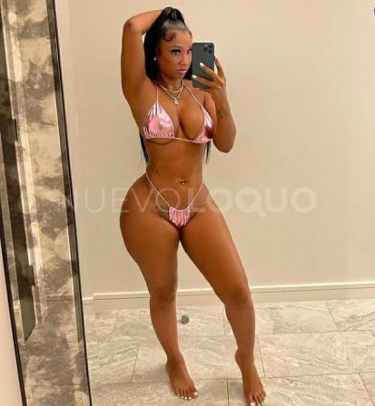 NuevoLoquo4