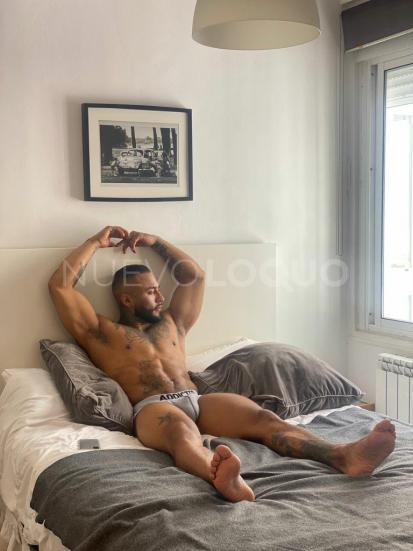 NuevoLoquo3