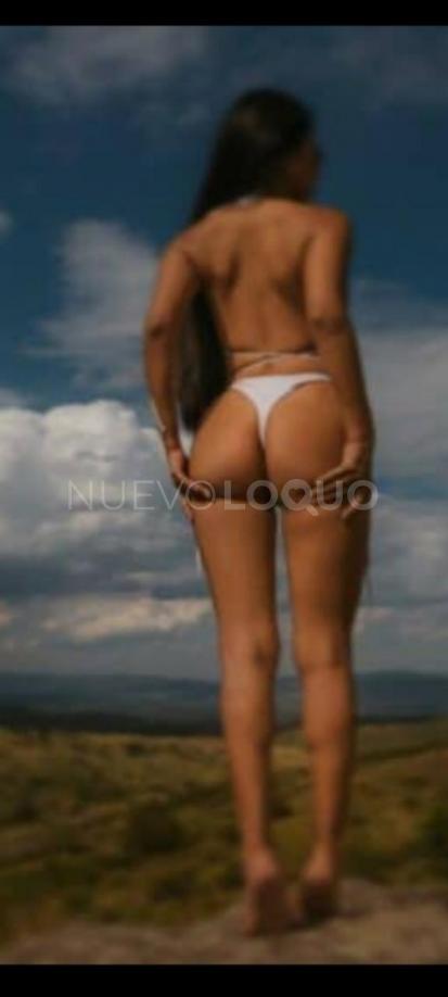 NuevoLoquo1