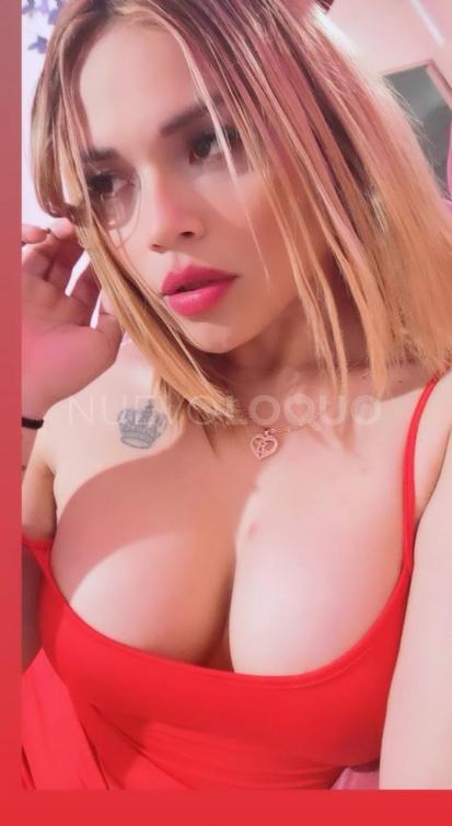 NuevoLoquo5