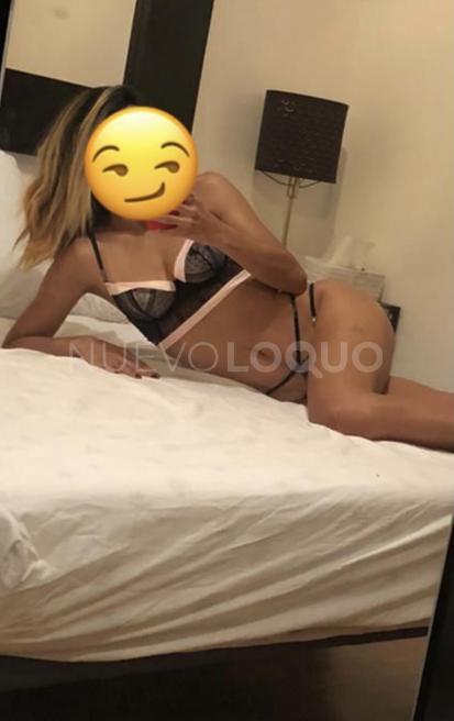 NuevoLoquo1