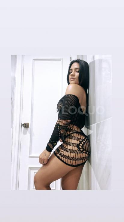 NuevoLoquo3