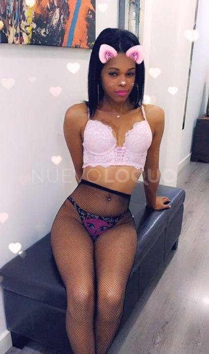 NuevoLoquo3