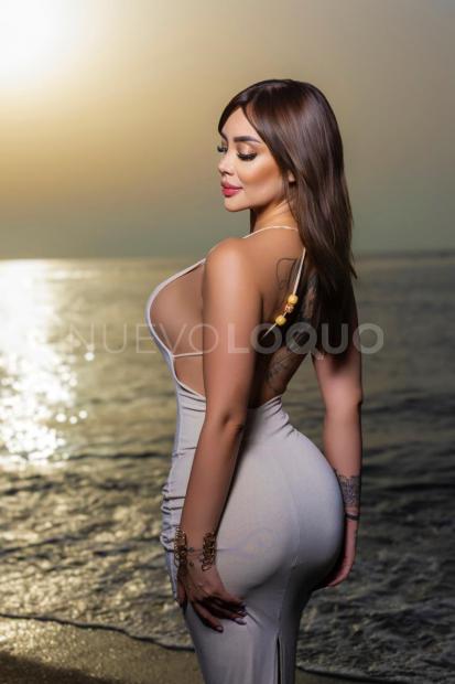 NuevoLoquo2