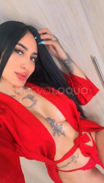 NuevoLoquo4
