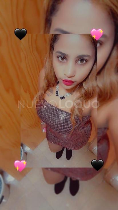 NuevoLoquo1