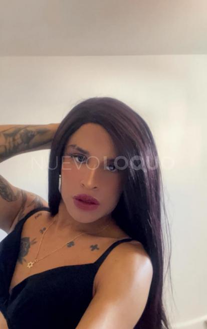 NuevoLoquo3