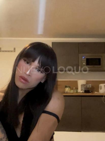 NuevoLoquo4
