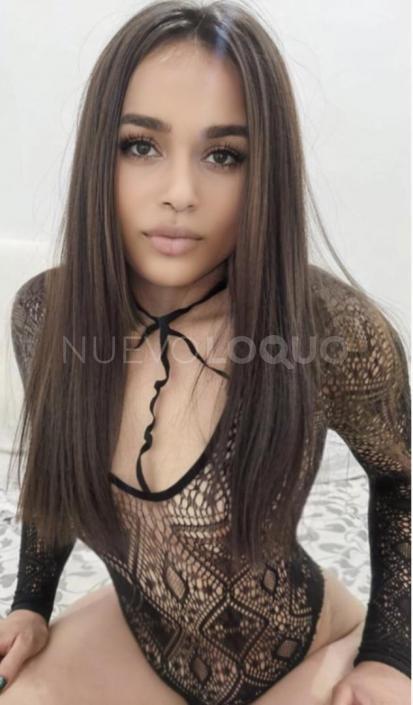 NuevoLoquo3