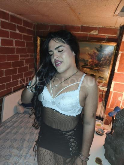 NuevoLoquo1