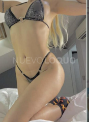Novedad  ()añitos