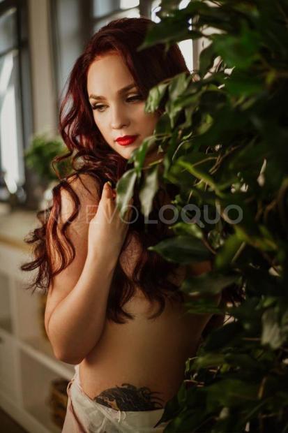NuevoLoquo2