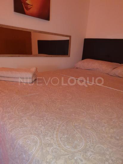 NuevoLoquo2