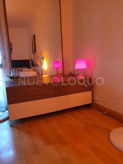 NuevoLoquo3