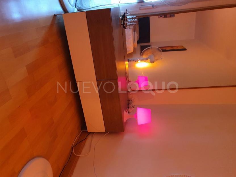 NuevoLoquo3