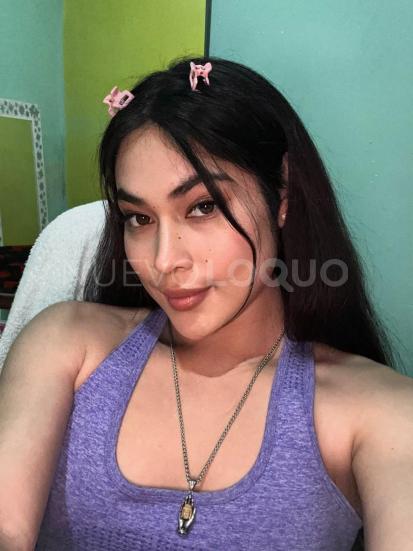 NuevoLoquo2