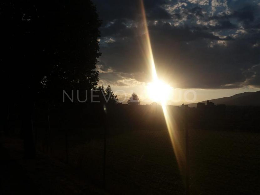 Posts pasion