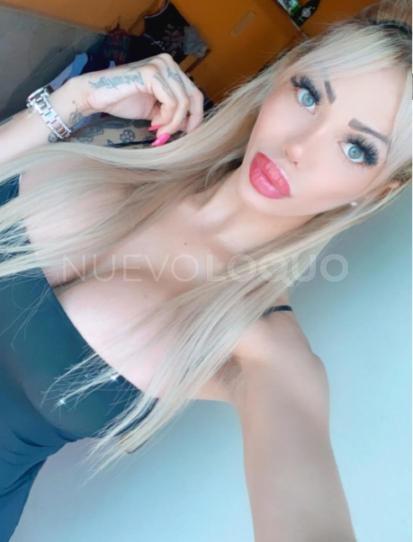 NuevoLoquo3