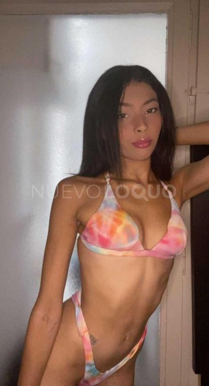 NuevoLoquo2