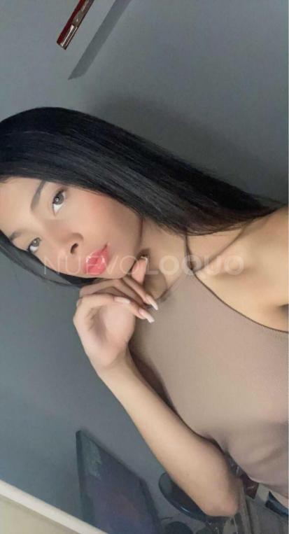 NuevoLoquo3
