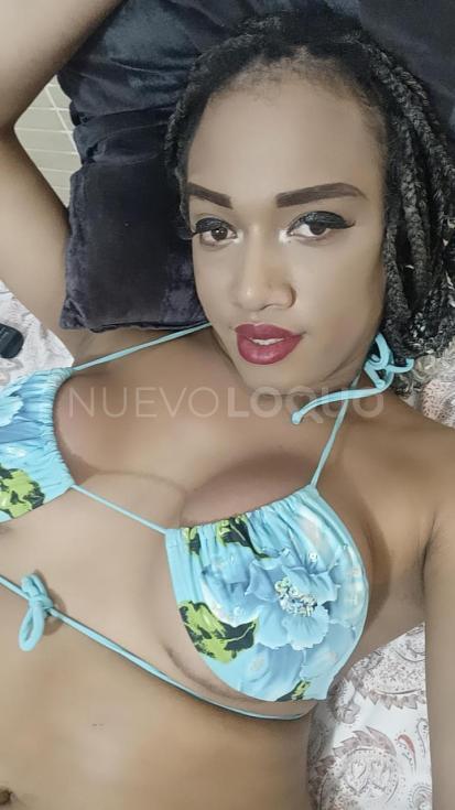 NuevoLoquo1