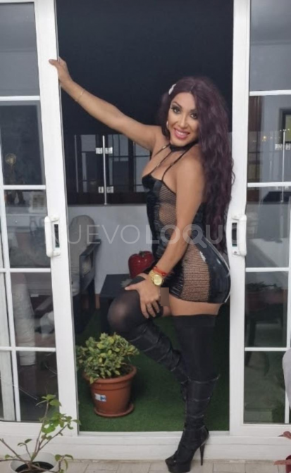NuevoLoquo3