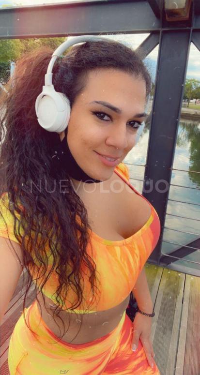 NuevoLoquo2