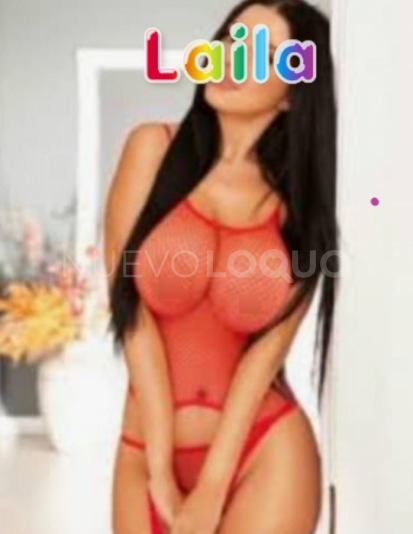 NuevoLoquo3
