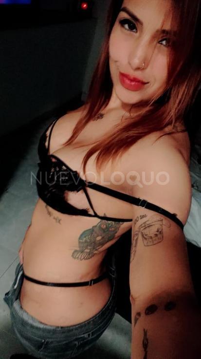 NuevoLoquo2