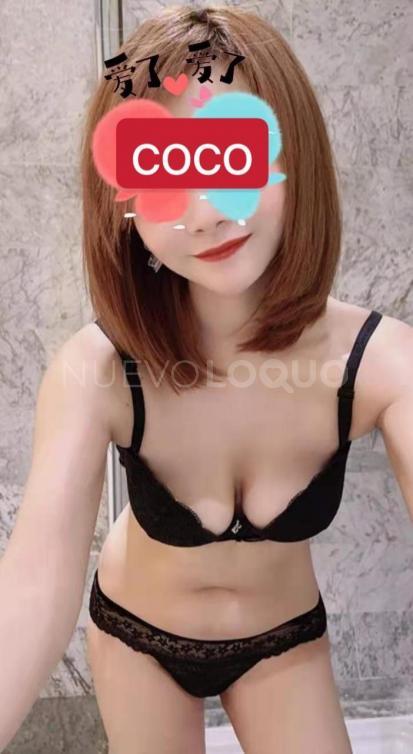 NuevoLoquo2
