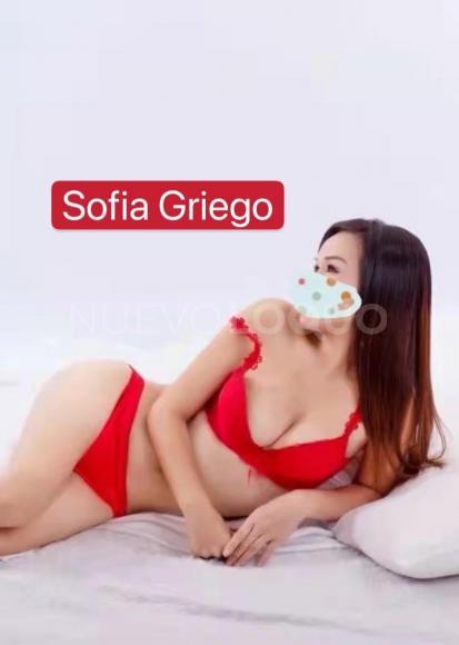 NuevoLoquo3