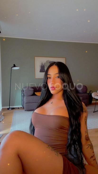 NuevoLoquo3