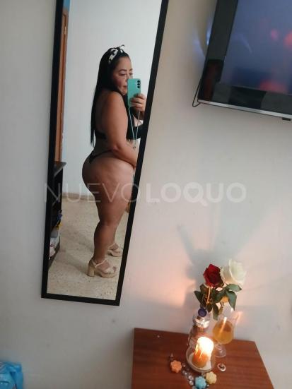 NuevoLoquo4
