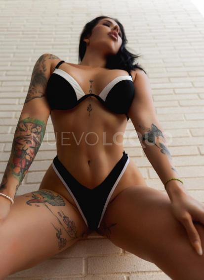 NuevoLoquo3