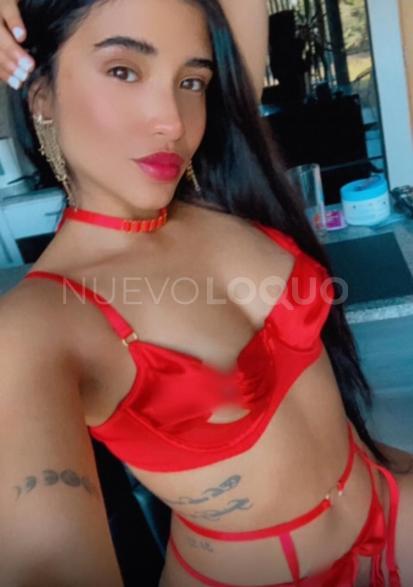 NuevoLoquo1