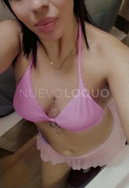 NuevoLoquo2