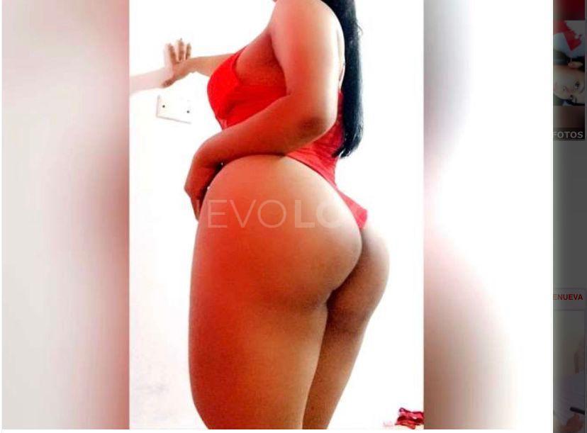 NuevoLoquo2