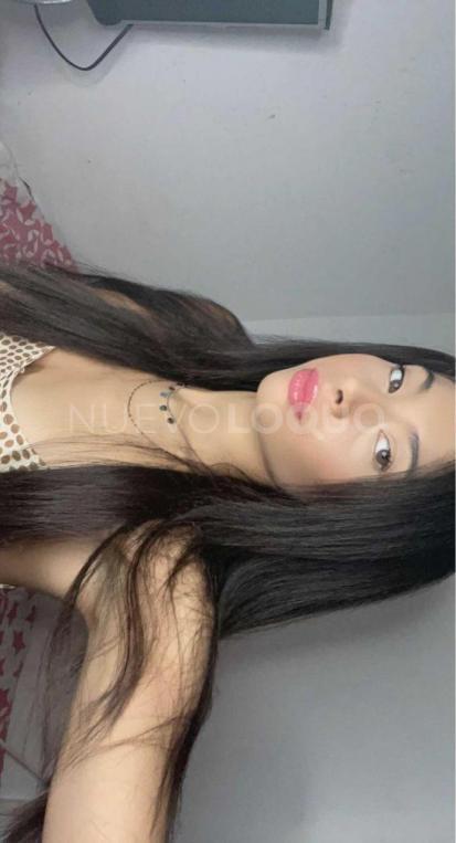 NuevoLoquo4