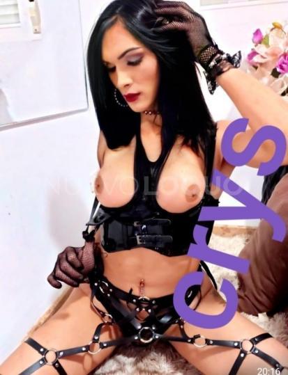 NuevoLoquo1
