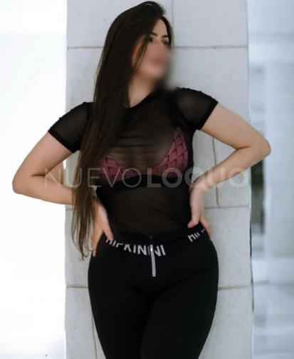 NuevoLoquo2